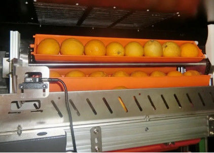 Czarny rynek automat do sprzedaży soków owocowych 800W na pomarańcze jabłko