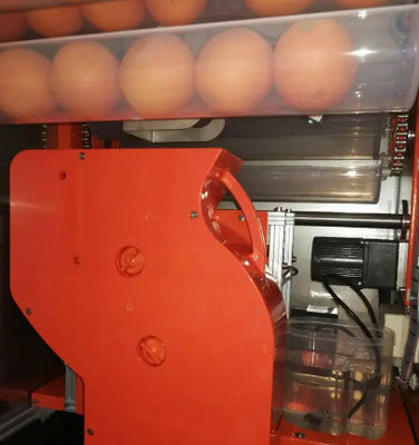 Automat do sprzedaży soków SDK 800 W Wyciskarka do świeżego soku pomarańczowego