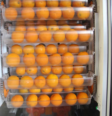 Auto Fruit Fresh Orange Juice Automat do sprzedaży 1000 W do supermarketu