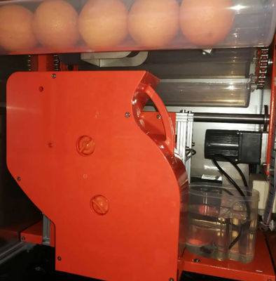 Automat do sprzedaży świeżych soków pomarańczowych 800W WD-ORANGE